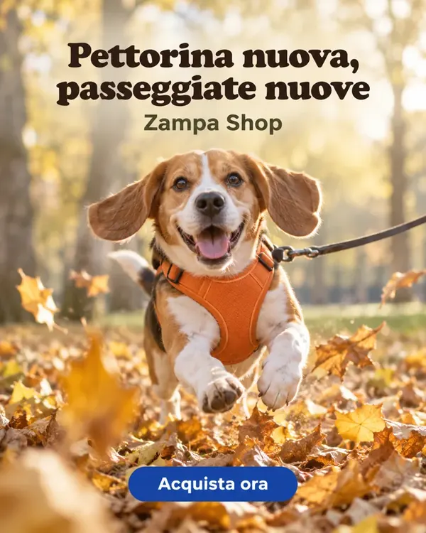 Post per pet shop, creato in Bynor