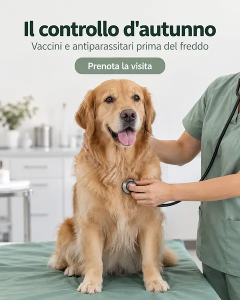Post per veterinario, creato in Bynor