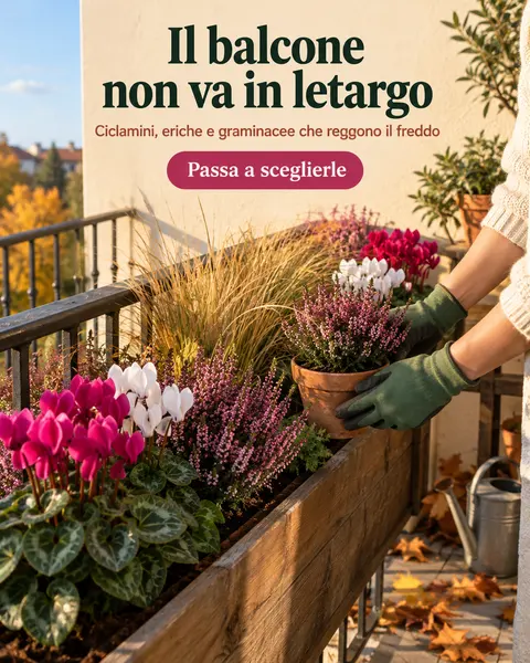 Post per vivaio, creato in Bynor